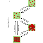 Four states of matter (UK spelling)