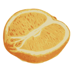 Sliced Orange