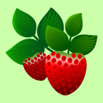 strawberries1