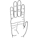 Chimpanzee Hand Line Art