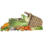 Basket Of Vegetables By Buntysmum Stylized