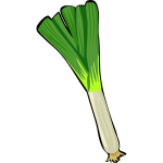 Spring Onion