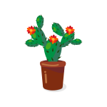 Cactus flower in a pot