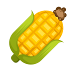 Yellow corn