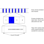 1c TDMA1