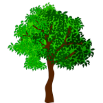 tree 17