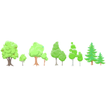 Trees in woods