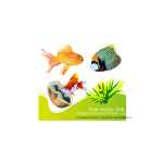 Free Vector Fish