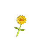 Yellow flower