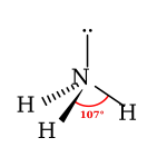 Ammonia Lone Electron Pair