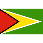 Flag of Guyana