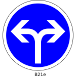 Right or left direction only road sign vector image