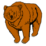 Bear 6