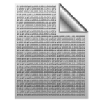 Binary file icon