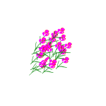 Botanical 2015120941