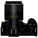 Digital camera Nikon D3100 top view vector clip art