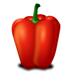 Capsicum fruit vector image