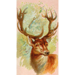 Stag image