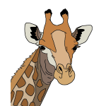 Colored Giraffe