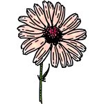 Daisy flower