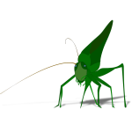 Vector image of green grasshopper