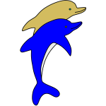 Dolphin 8