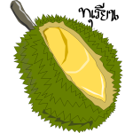 Durian,Thai Fruit