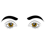 Eyes Illustration