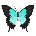 Butterfly teal color