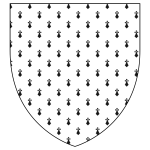 Shield with seamless pattern