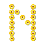 N floral letter