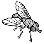 Fly line art vector clip art