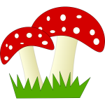 Mushrooms