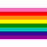 Gay flag 8