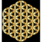 Gold Flower Of Life