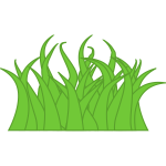 Leaves of grass vector image