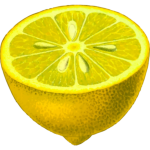 Slice of lemon