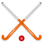 Hockey stick and ball