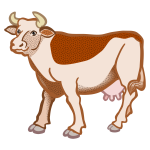 Brown cow