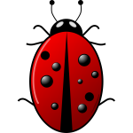 Ladybug