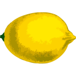 Lemon fruit