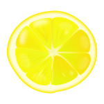 Lemon slice vector image