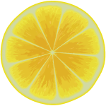 Yellow citrus slice