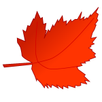 Red and orange maple leaf vector image