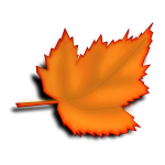 Yellow autumn maple leaf vector image