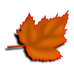 Orange fall leaf vector image