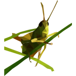 Low Poly Grasshopper