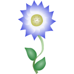 blue flower