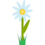 marguerite