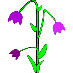 Bellflower vector graphics